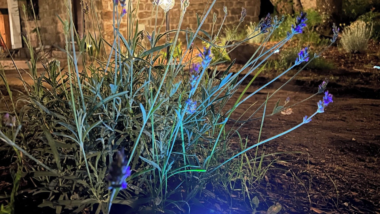 Photo of Outdoor in Calangianus