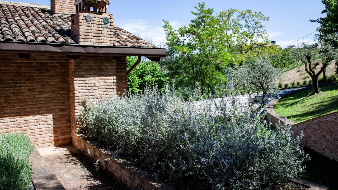 Photo of Outdoor in Longiano