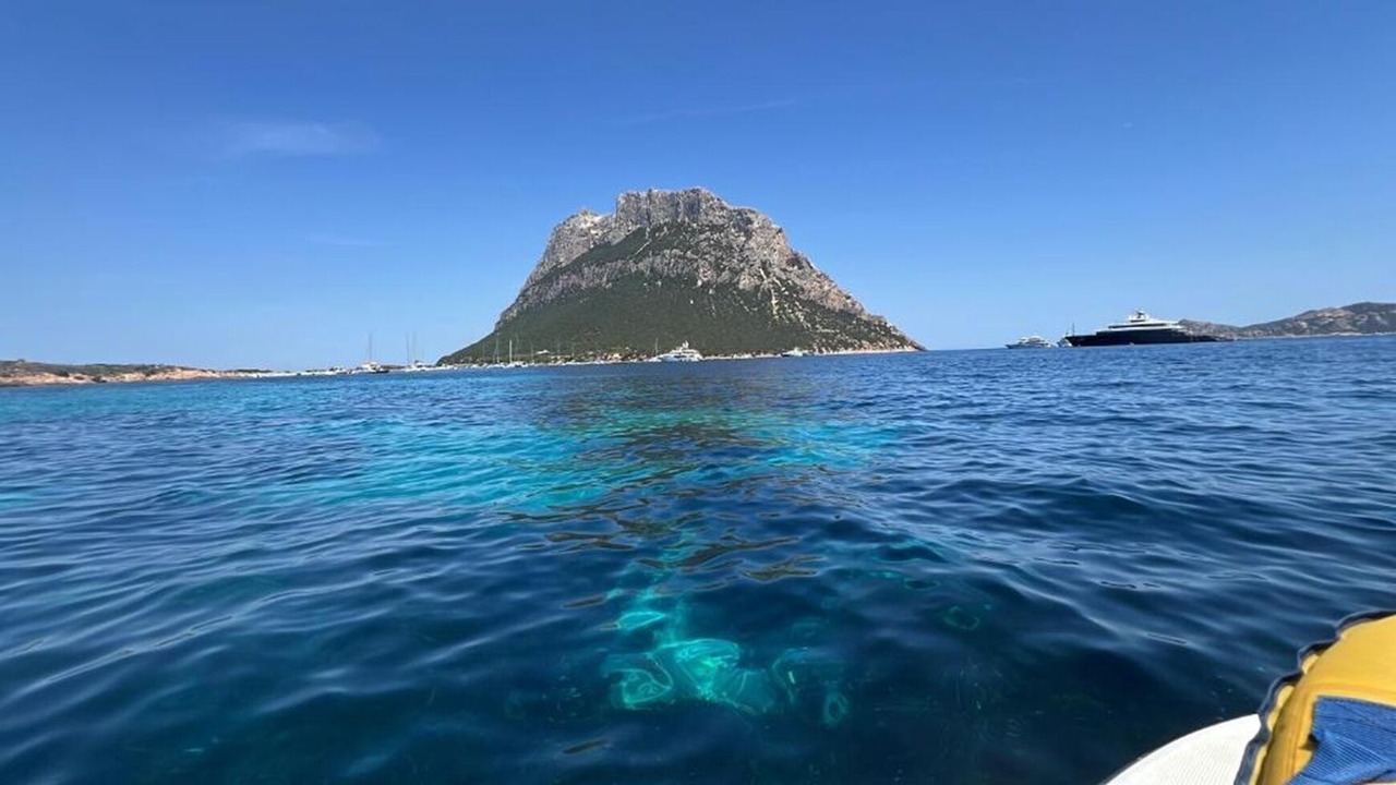 Photo of Others in Porto Istana