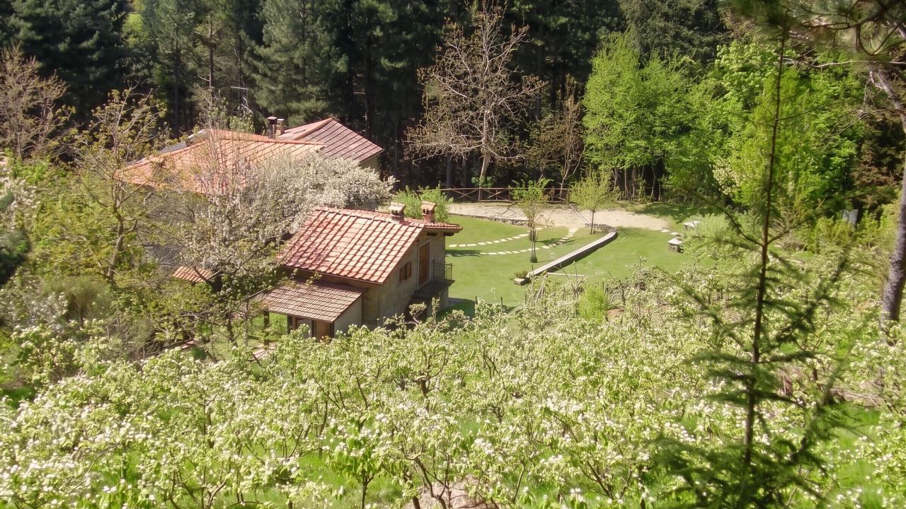 Photo of Others in Moggiana