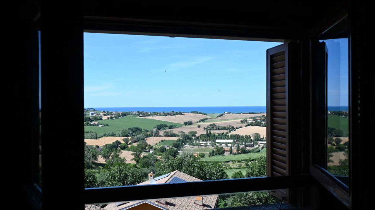 Photo of Others in Montemarciano