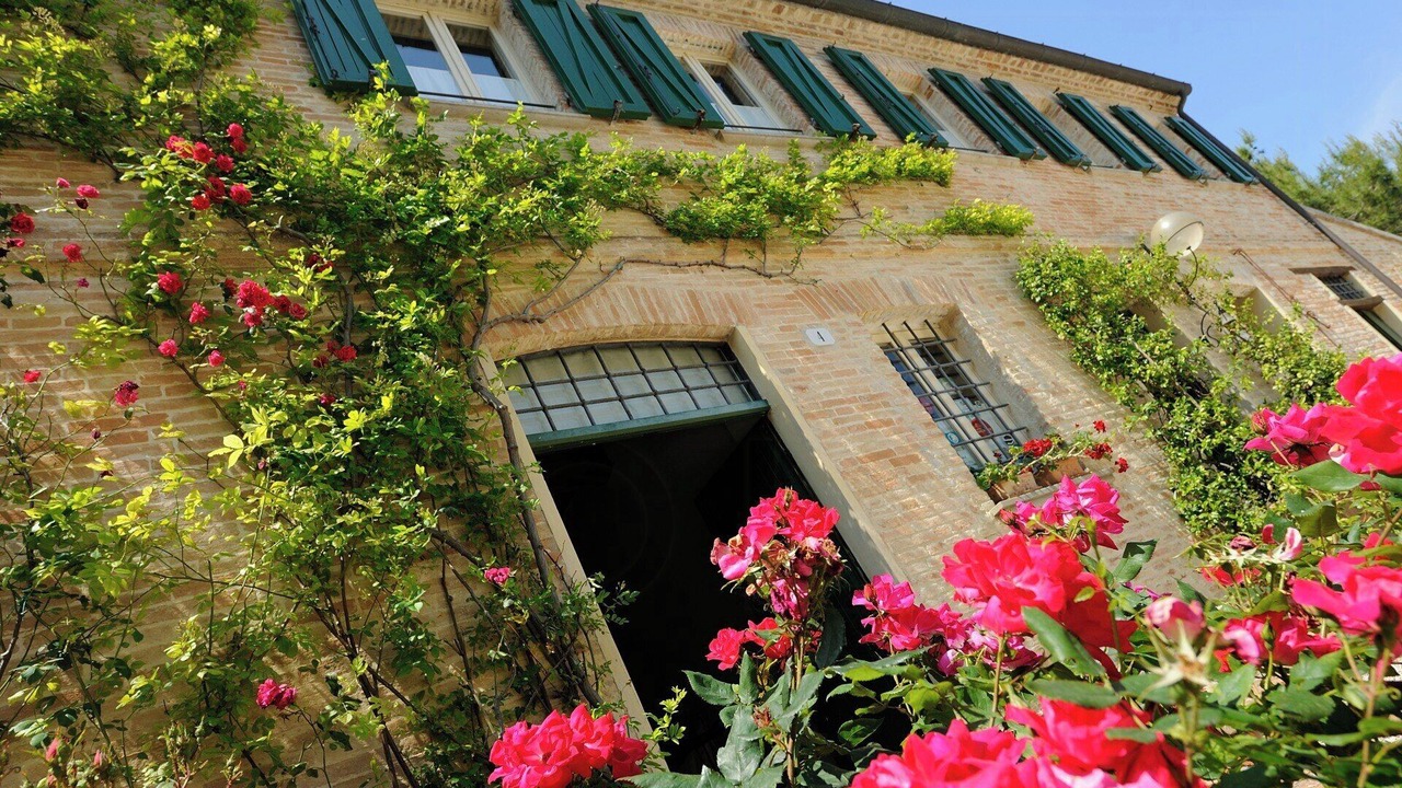 Photo of Outdoor in Rupoli