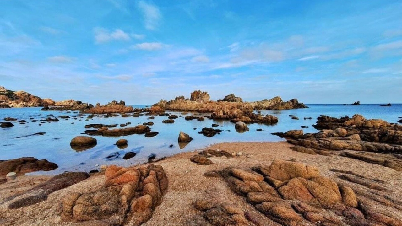 Photo of Others in Canneddi