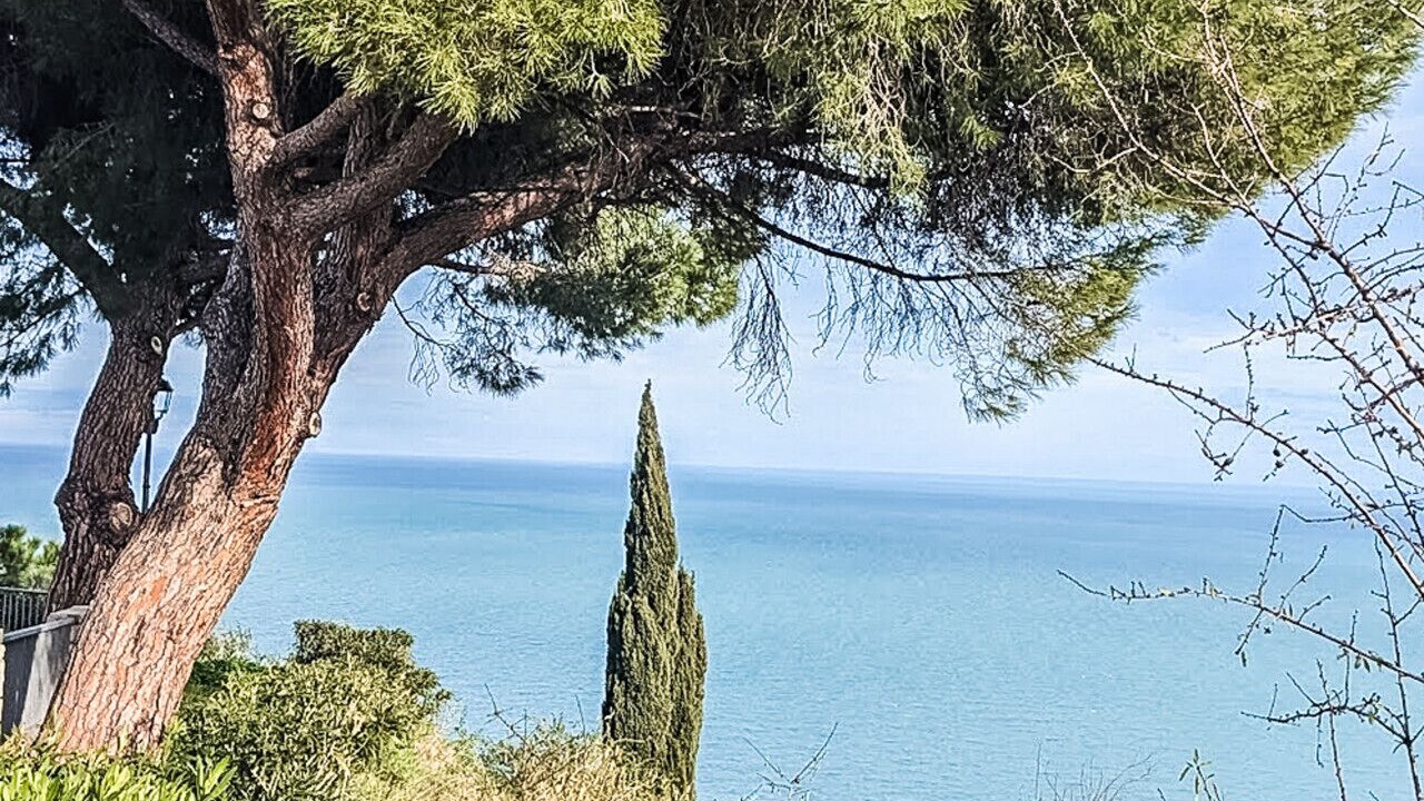Photo of Others in Vasto