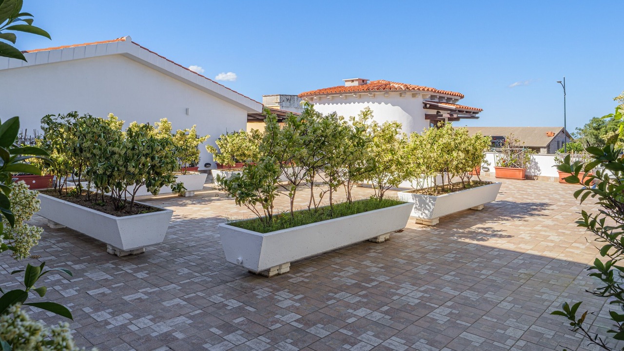 Photo of Outdoor in Porto San Paolo