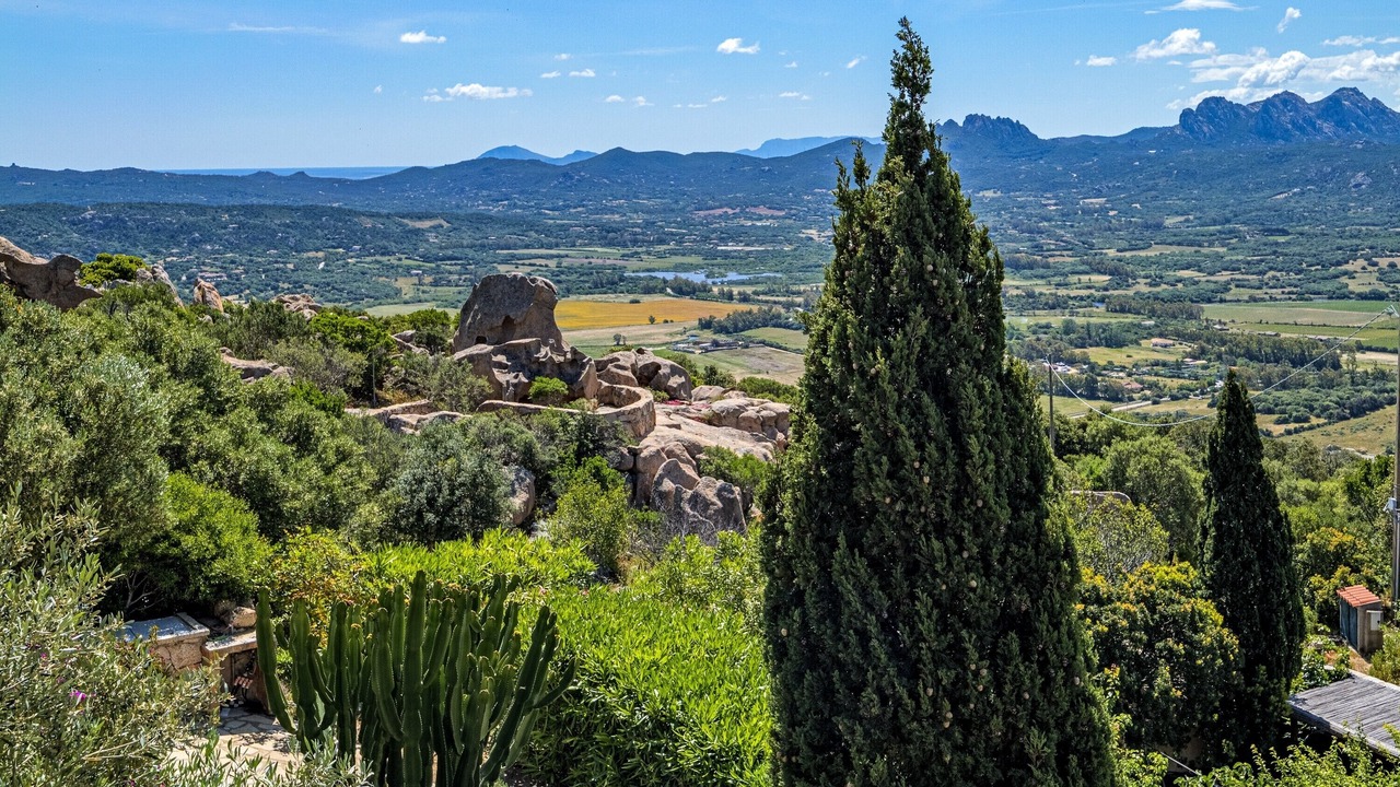 Photo of Others in Arzachena