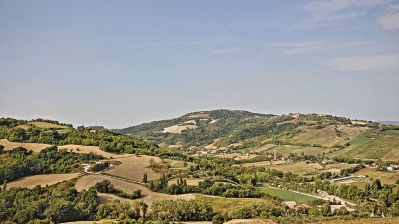 Photo of Others in Montelabbate