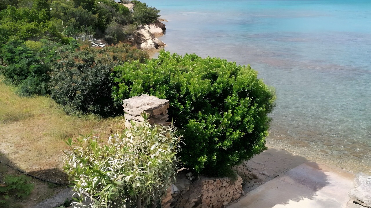 Photo of Others in Tiriddo