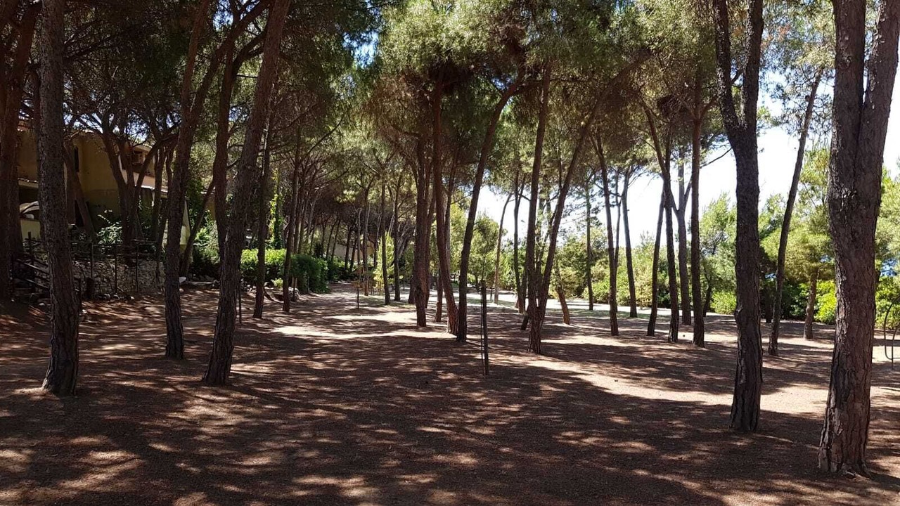 Photo of Outdoor in Terra Mala