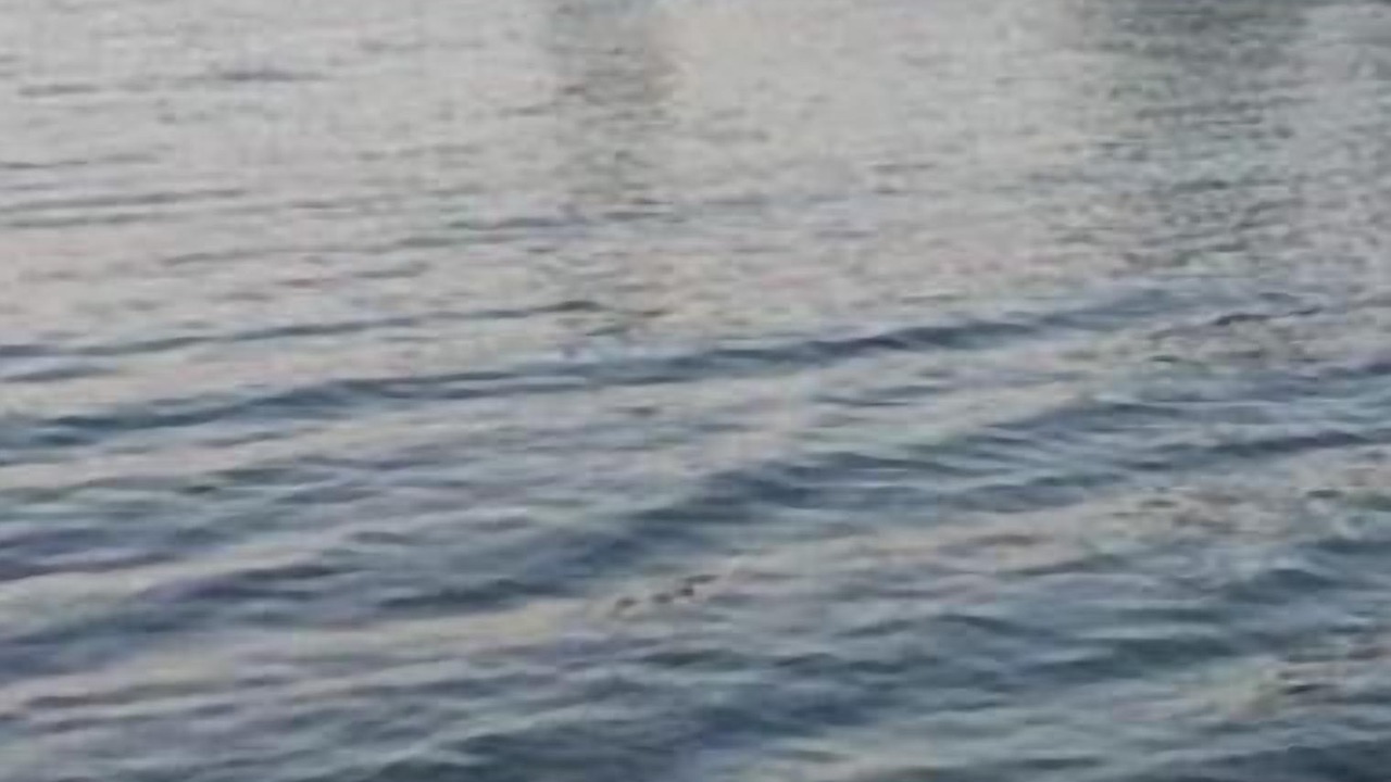 Photo of Others in San Giovanni