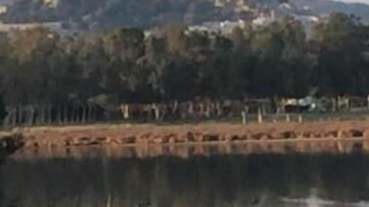 Photo of Others in San Giovanni