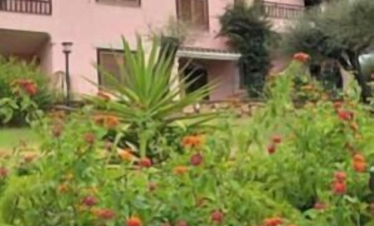 Photo of Outdoor in Budoni