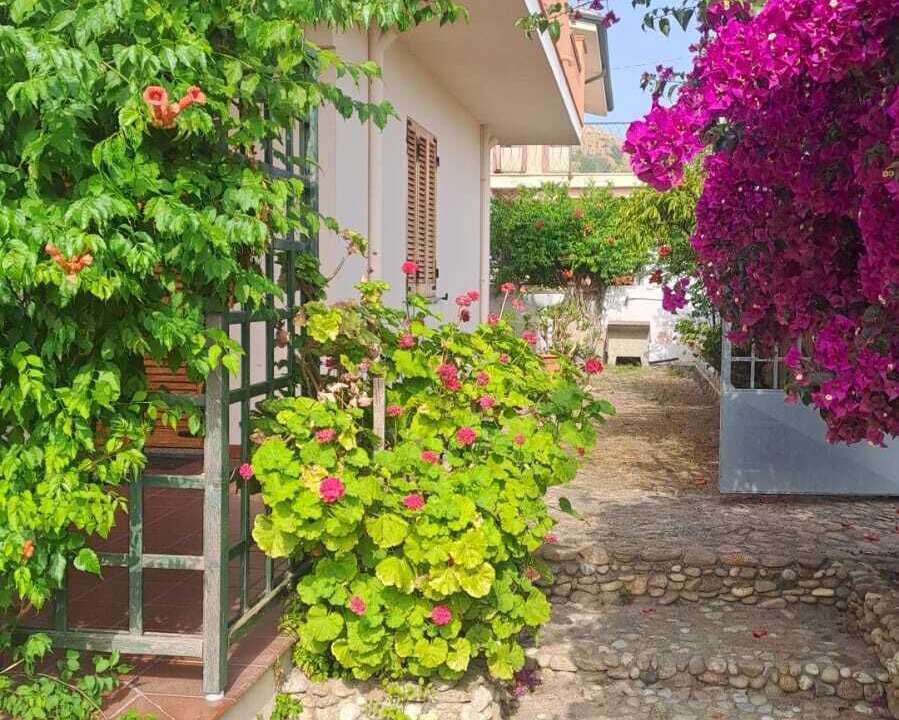 Photo of Outdoor in Posada