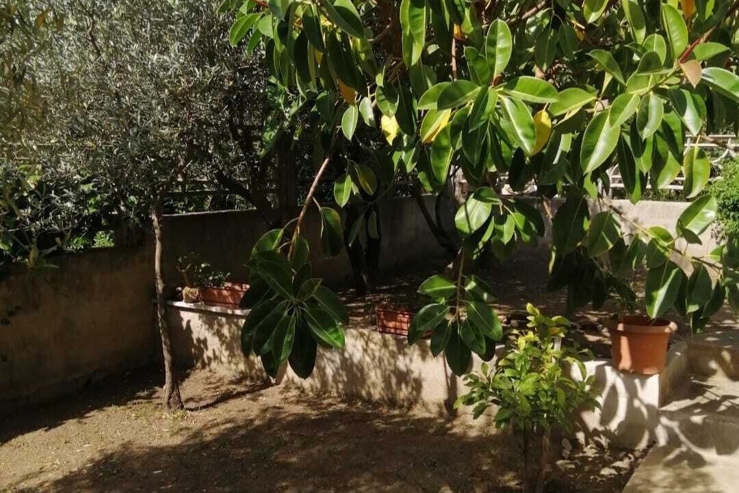 Photo of Outdoor in Posada