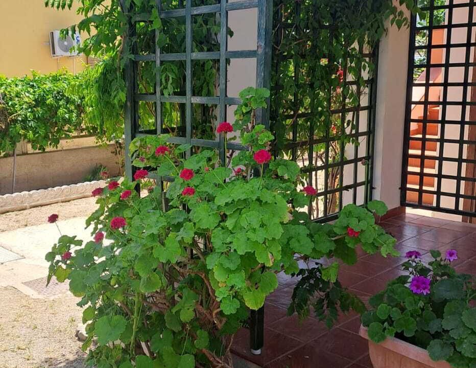 Photo of Outdoor in Posada
