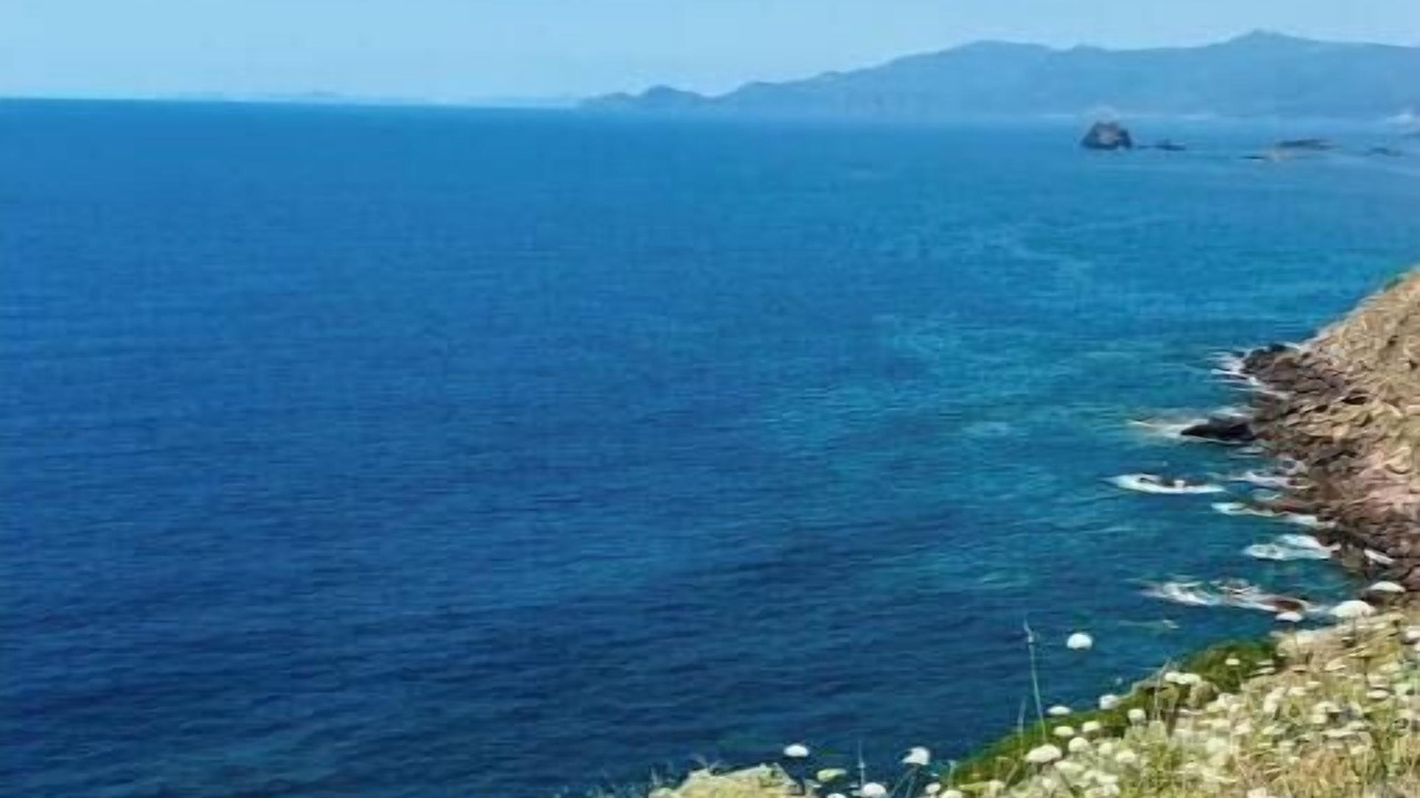 Photo of Others in Porto Alabe