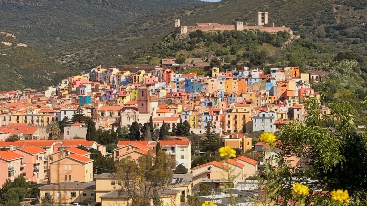Photo of Others in Porto Alabe