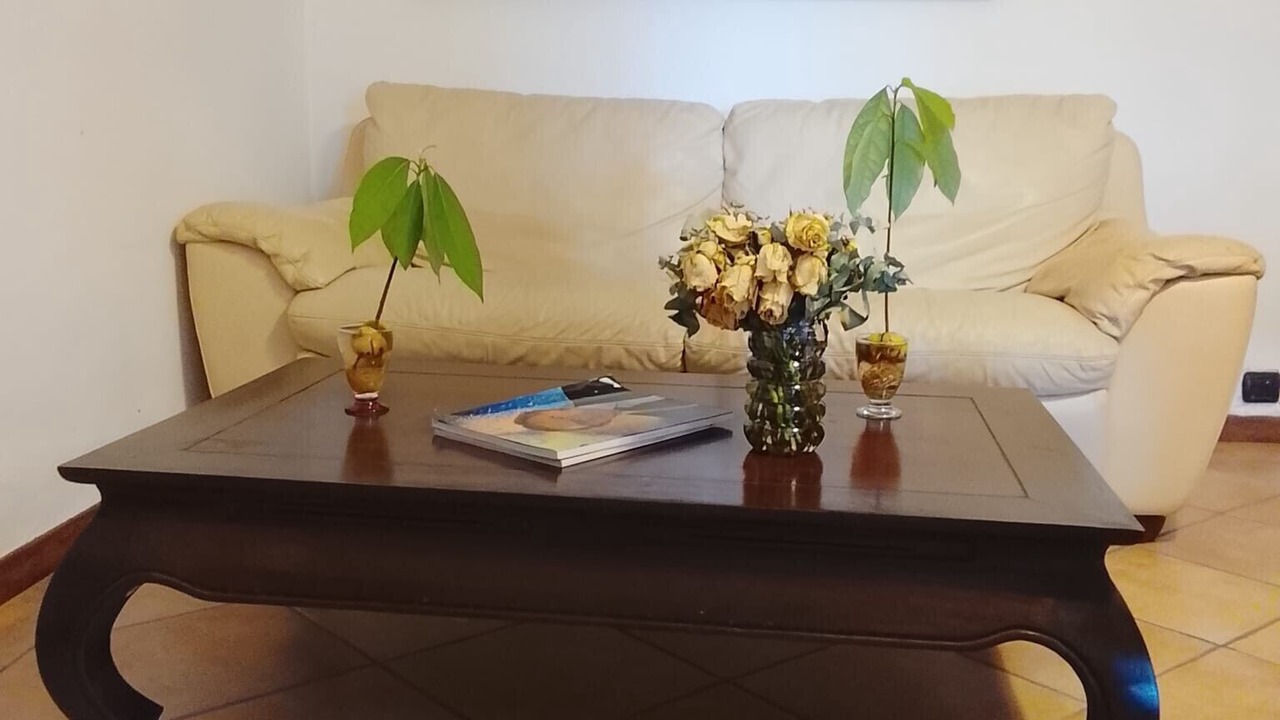 Photo of Livingroom in Lu Bagnu