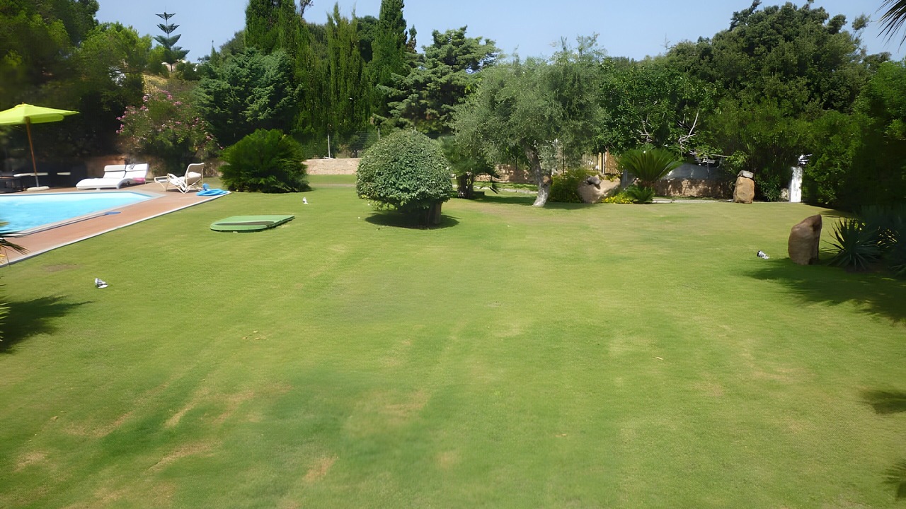 Photo of Outdoor in Lu Bagnu