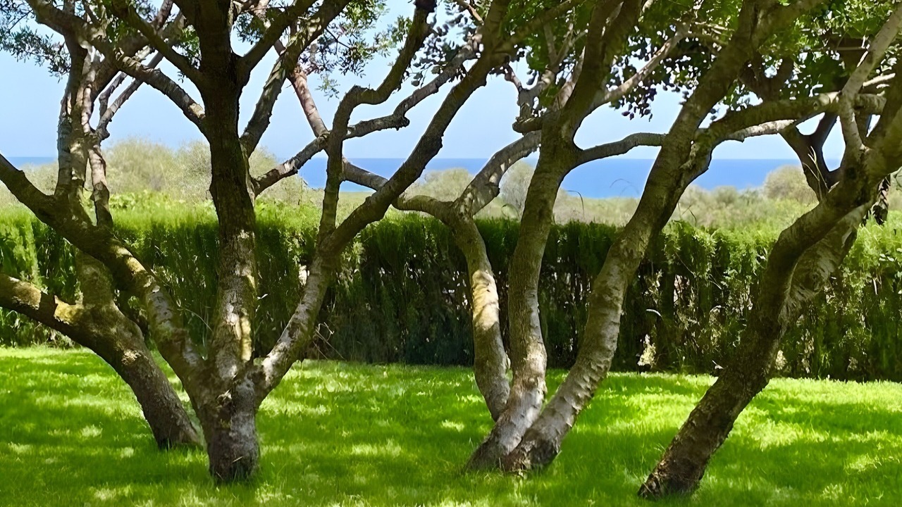 Photo of Outdoor in Orosei