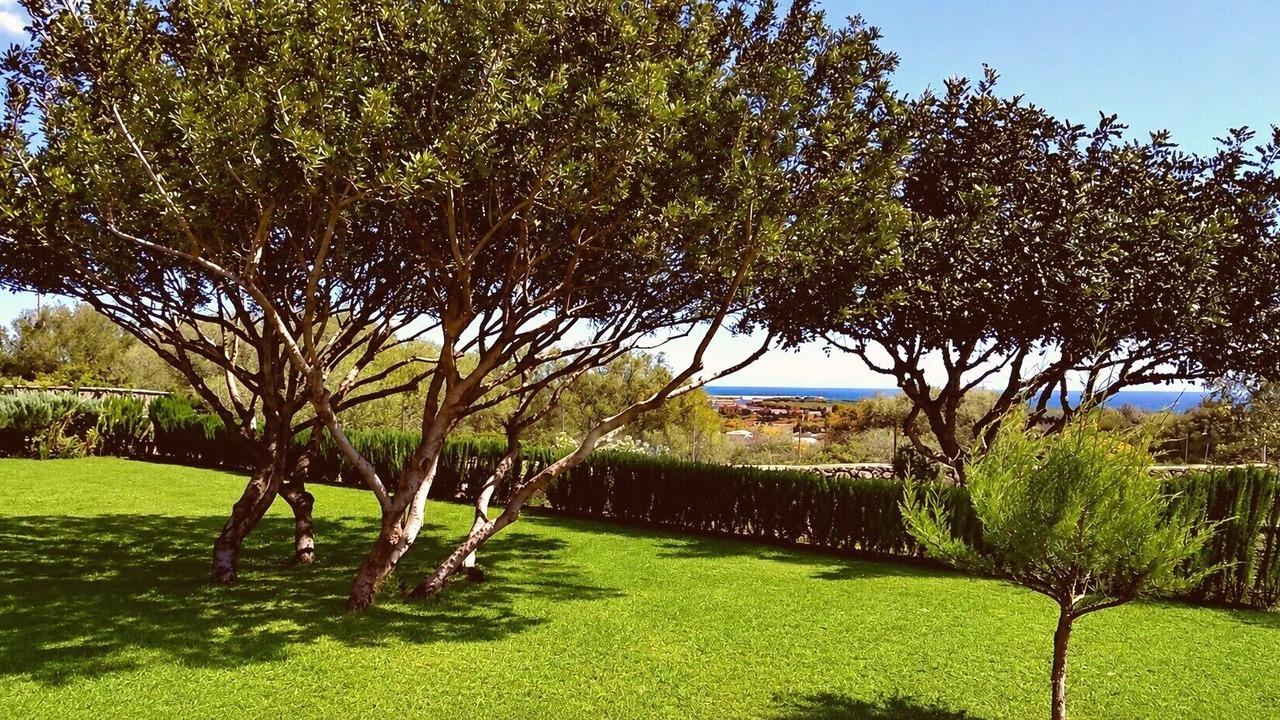Photo of Outdoor in Orosei