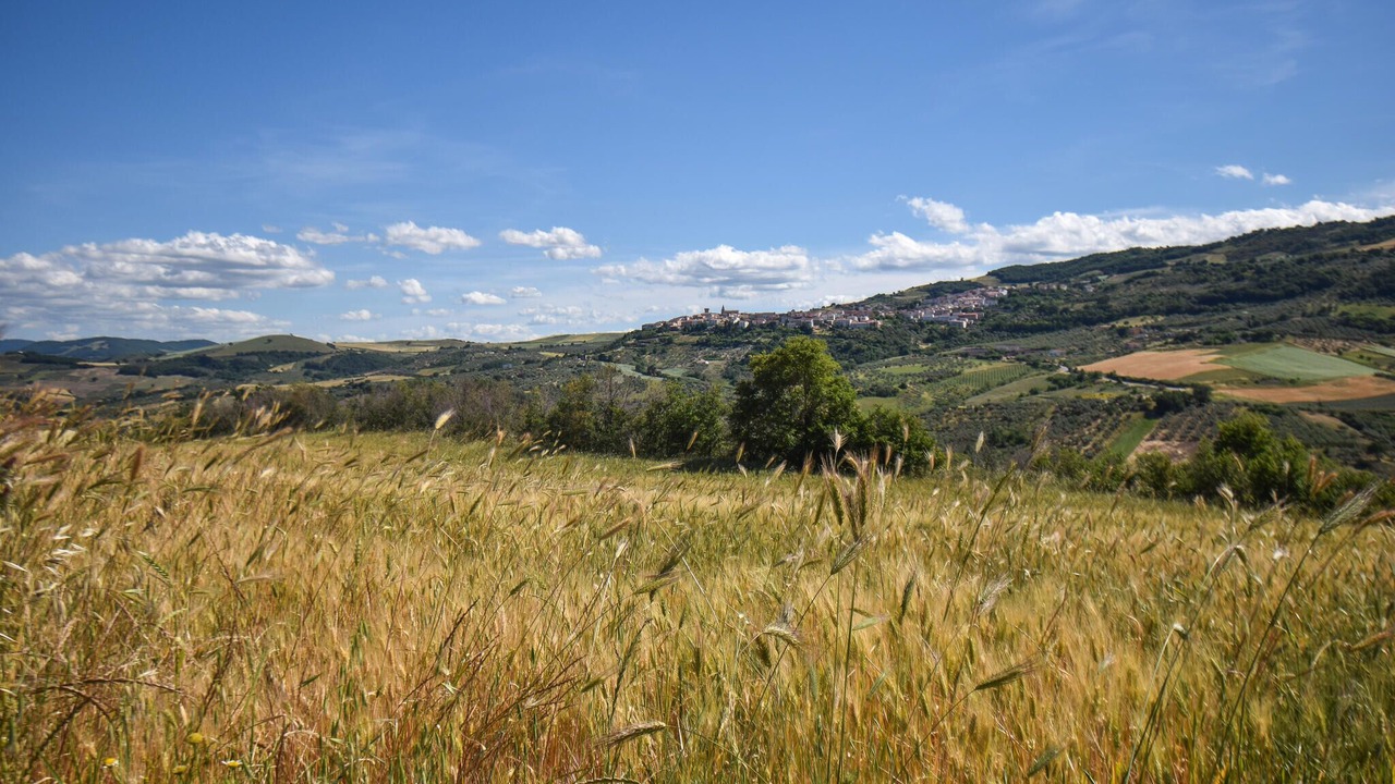 Photo of Others in Colletorto