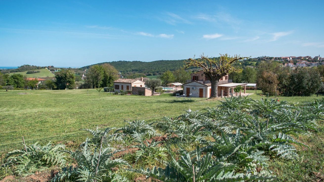 Photo of Outdoor in Castelfidardo