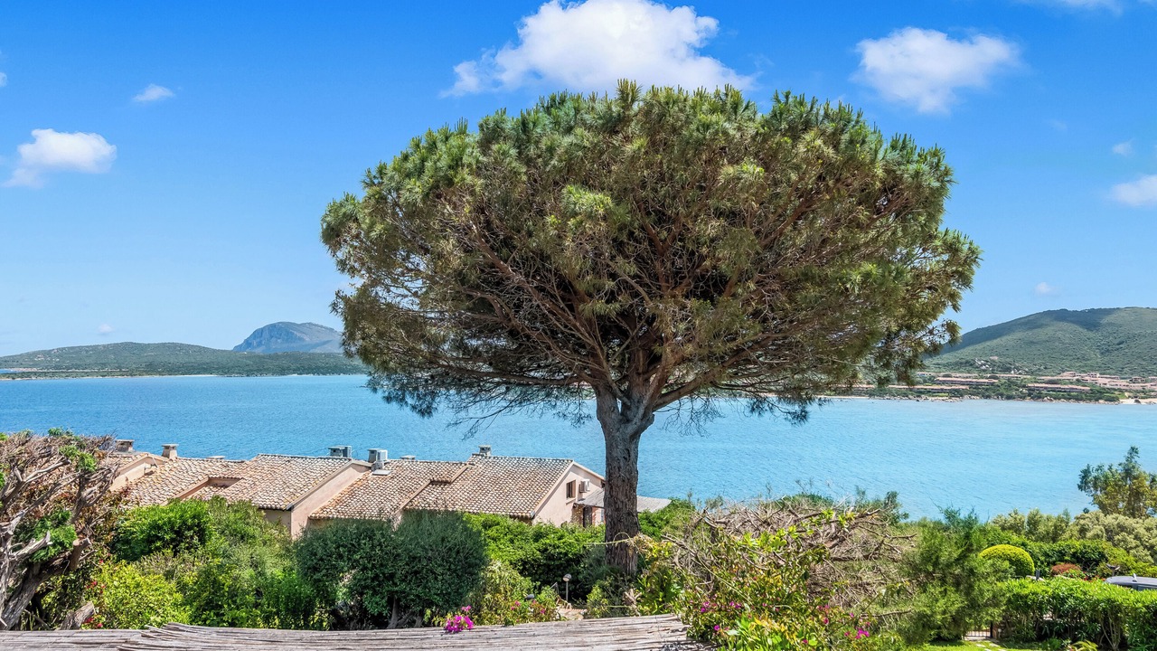 Photo of Others in Golfo di Marinella