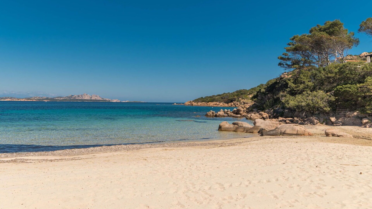 Photo of Others in Baja Sardinia