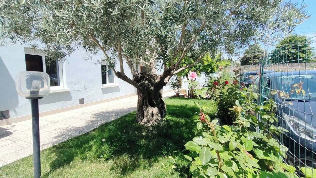 Photo of Outdoor in San Giuliano a Mare