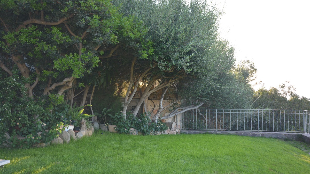Photo of Outdoor in Torre delle Stelle