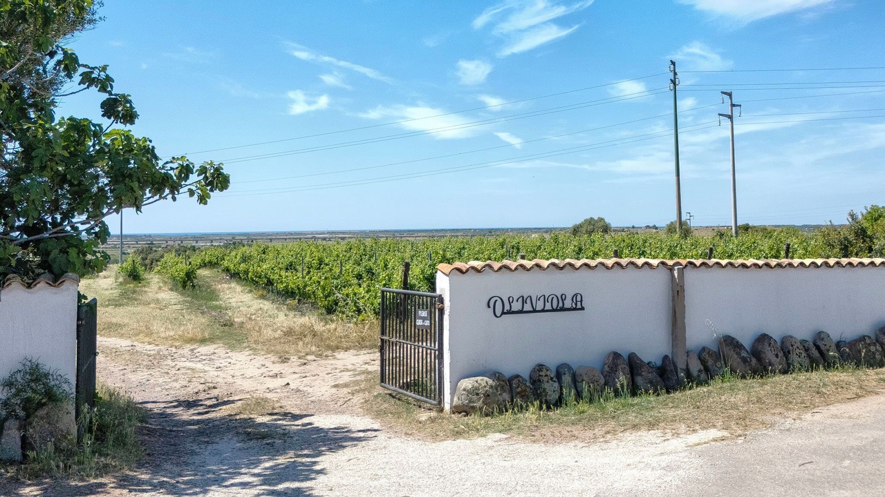 Photo of Others in Viddalba