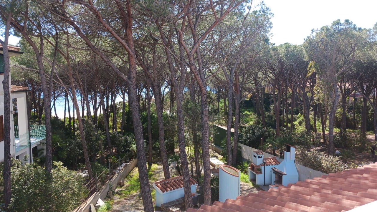 Photo of Outdoor in Cala Liberotto