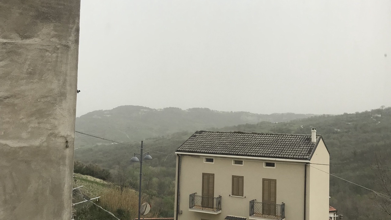 Photo of Others in Carpineto Sinello