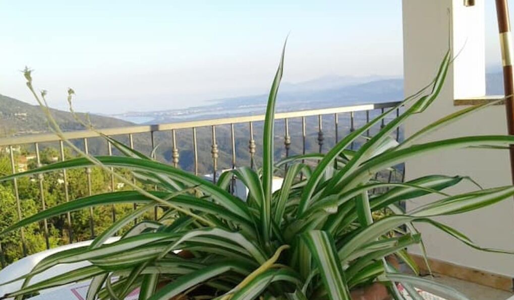 Photo of Outdoor in Baunei