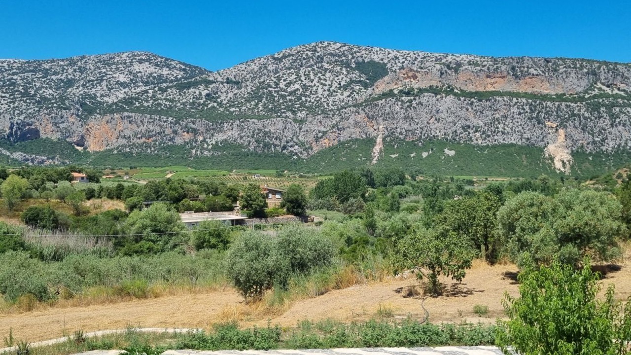 Photo of Others in Dorgali