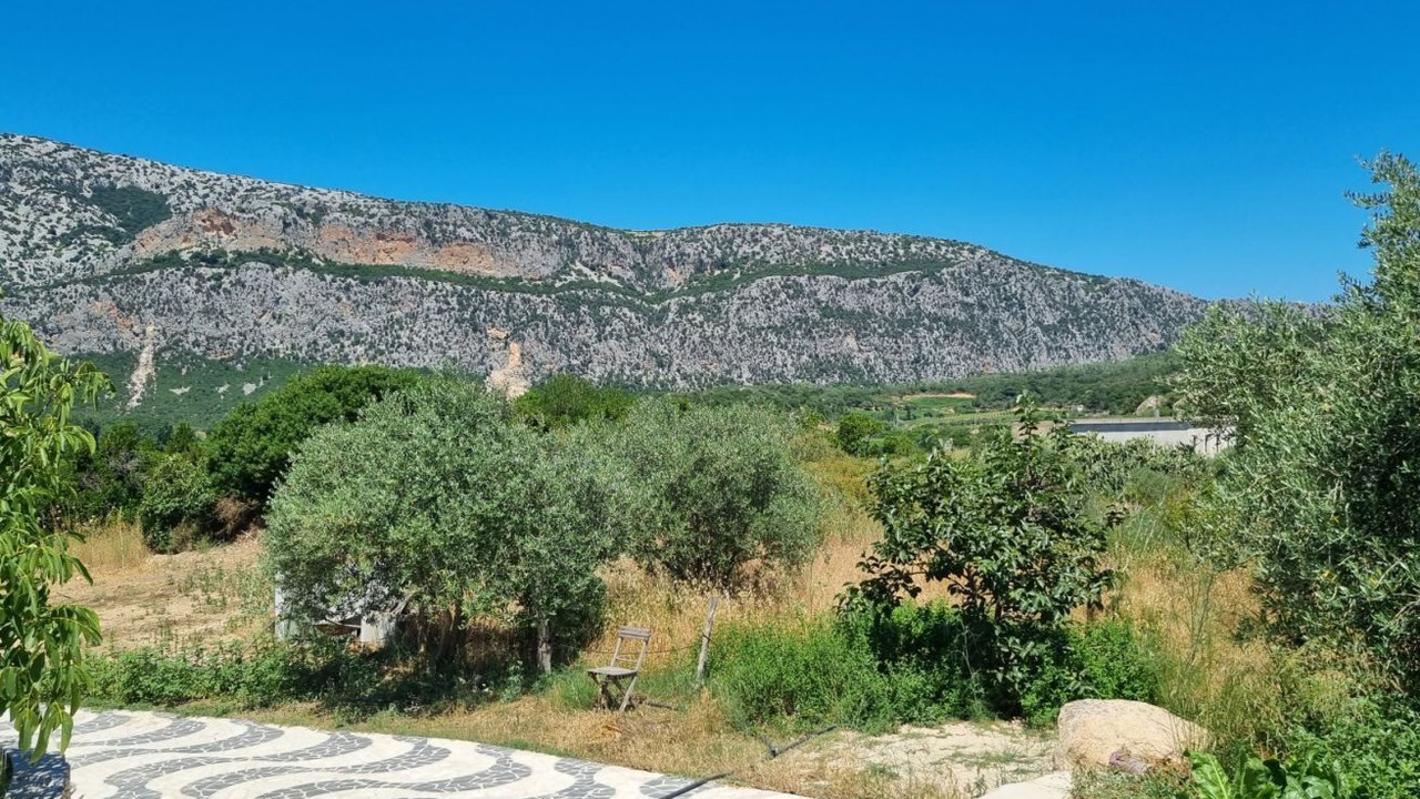 Photo of Others in Dorgali