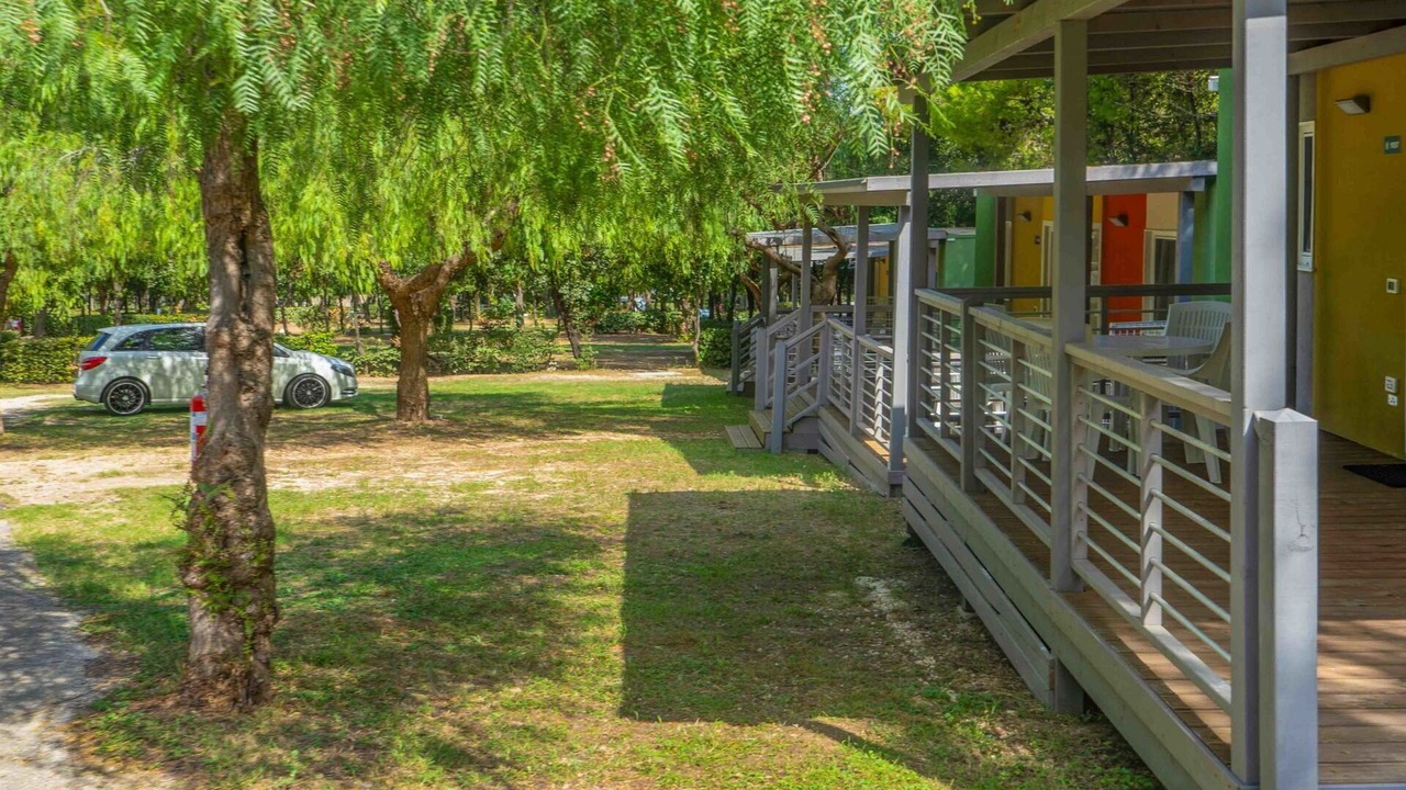 Photo of Others in Peschici