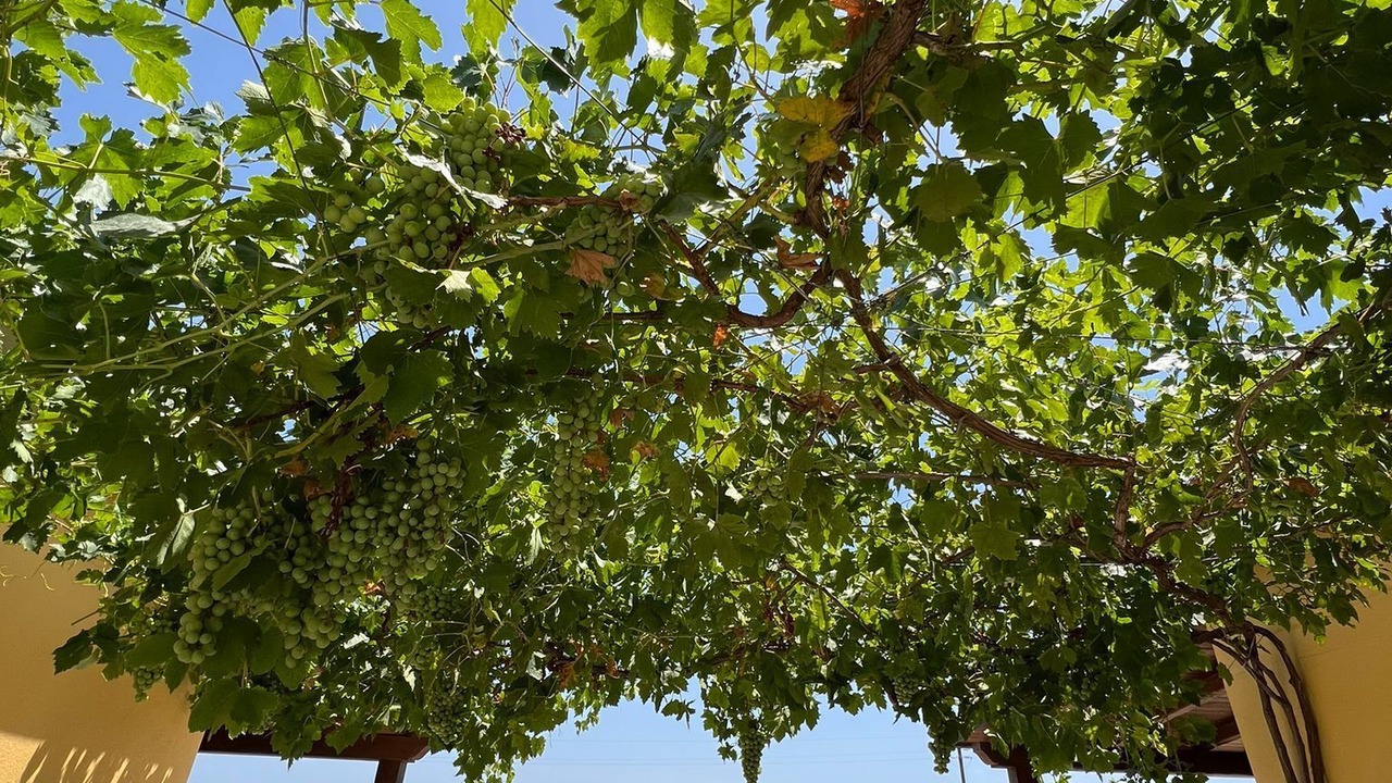 Photo of Outdoor in Orosei