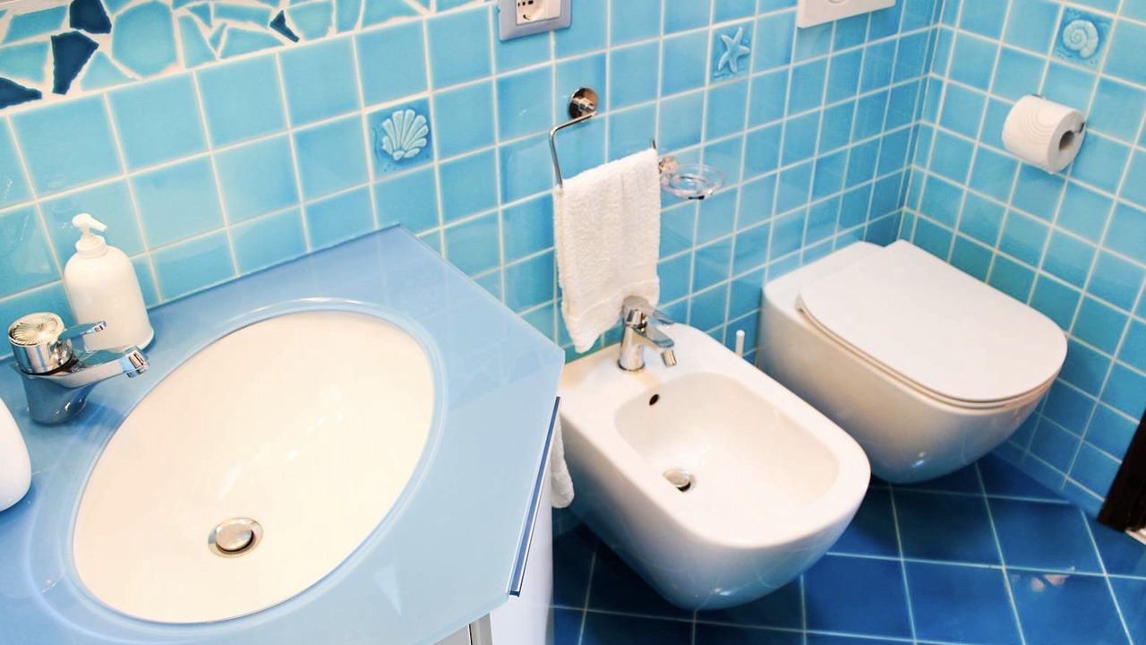 Photo of Bathroom in Capo Coda Cavallo