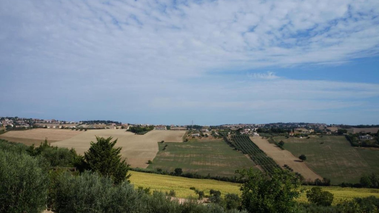 Photo of Others in Fermo