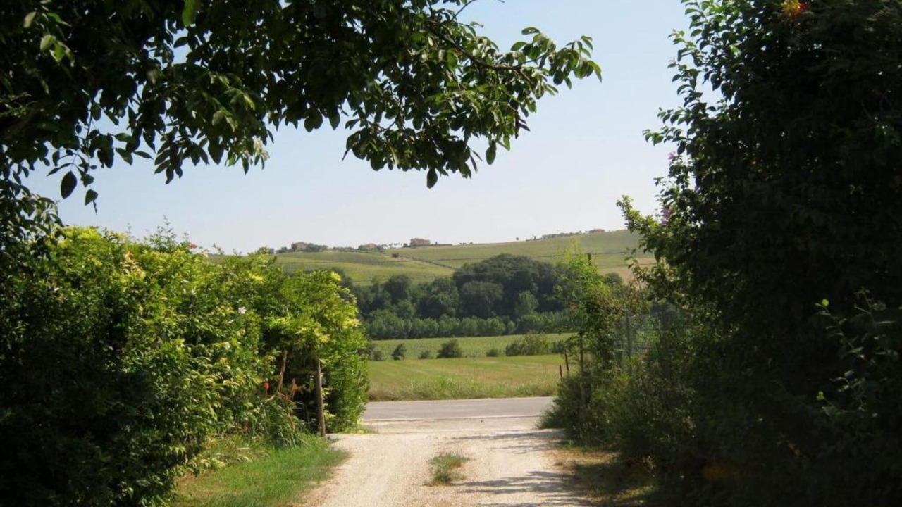 Photo of Others in Fermo