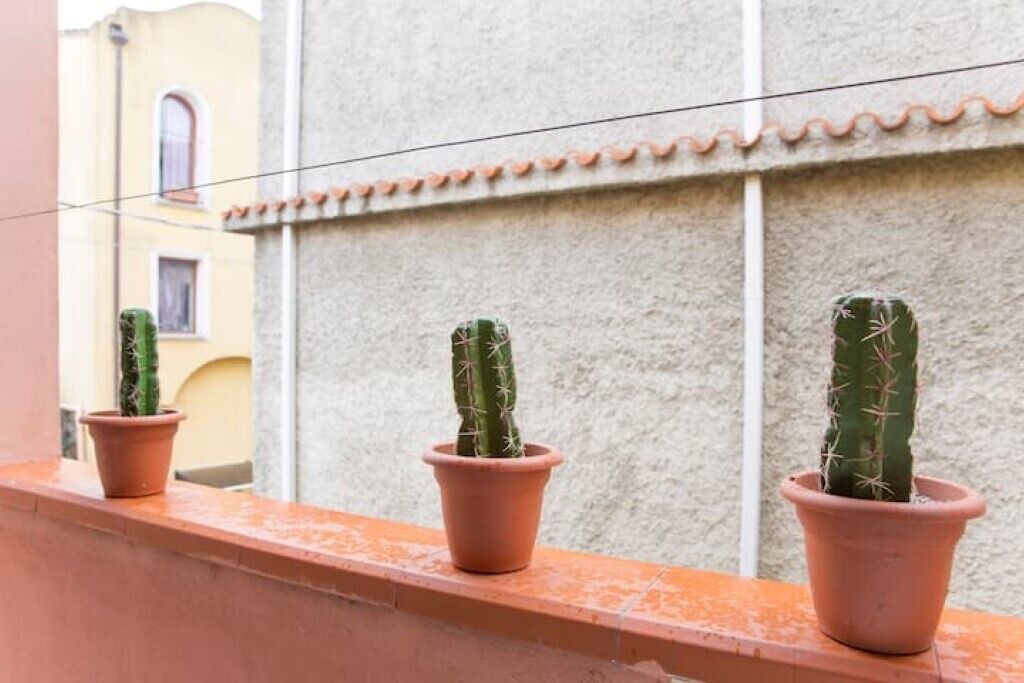 Photo of Outdoor in Bari Sardo