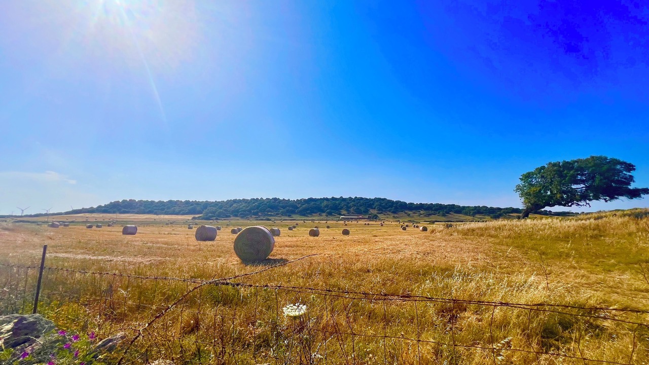 Photo of Outdoor in Sedini