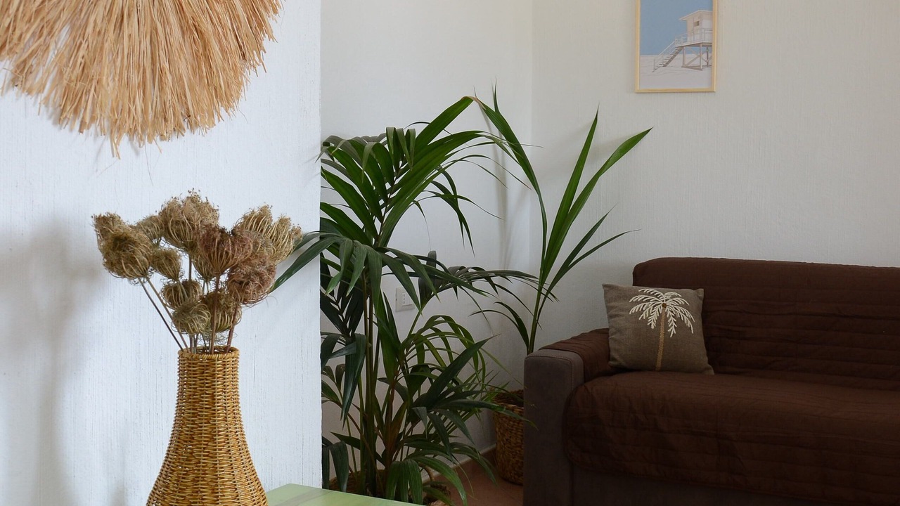Photo of Livingroom in Tertenia