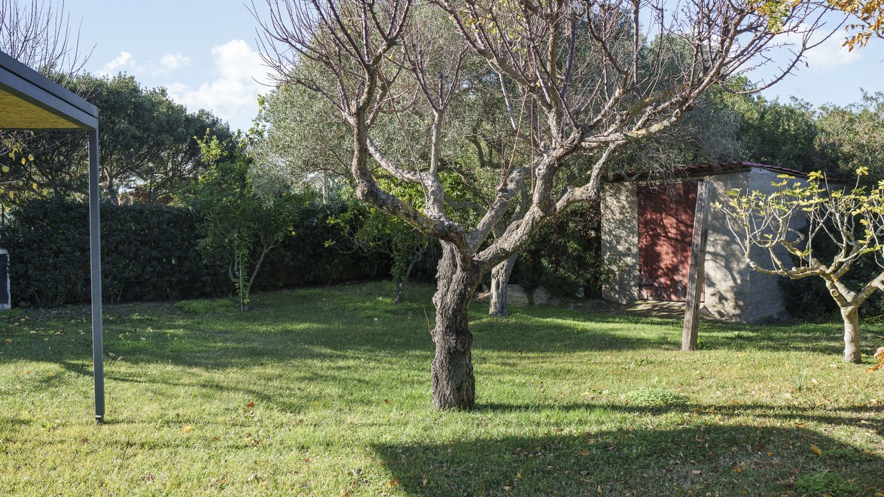 Photo of Outdoor in Tiriddo
