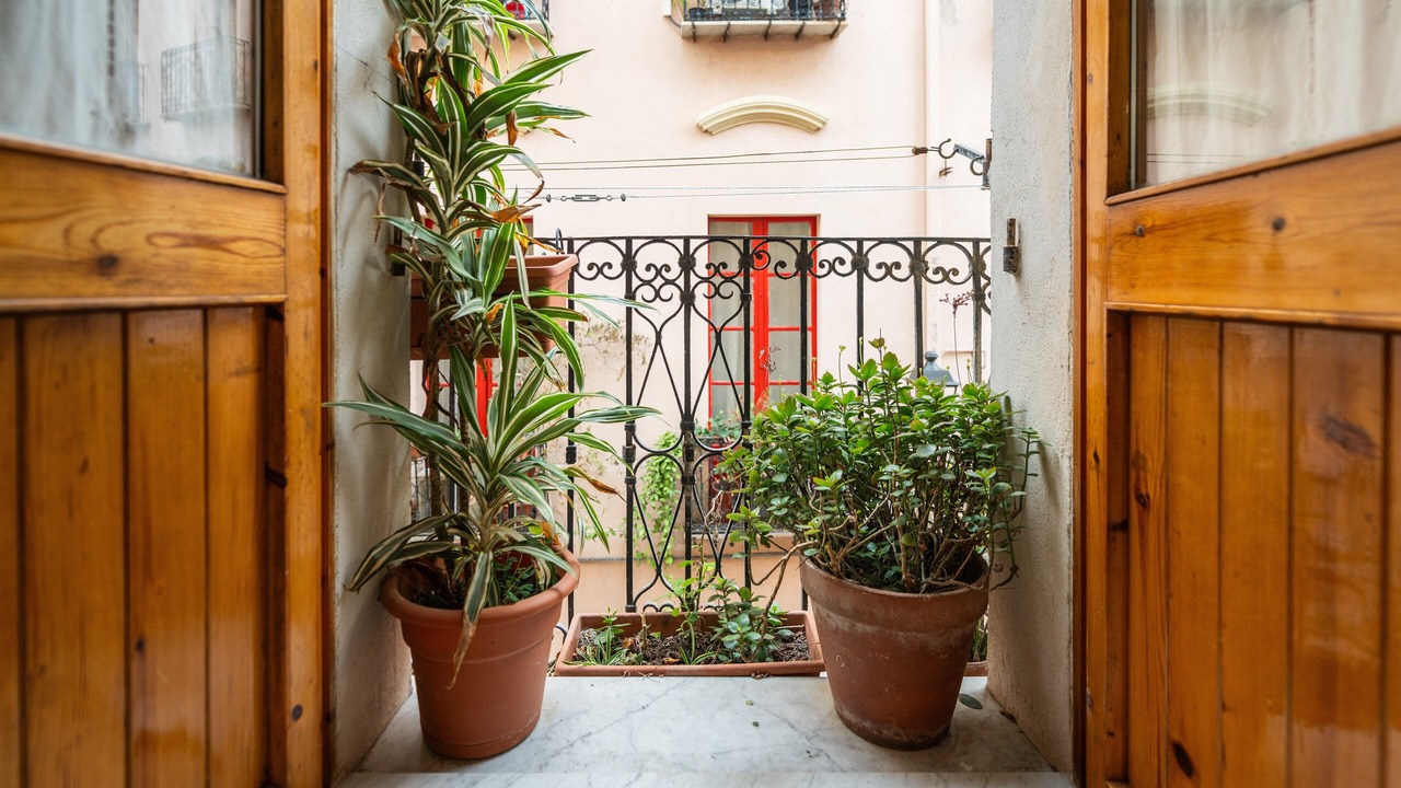 Photo of Others in Cagliari