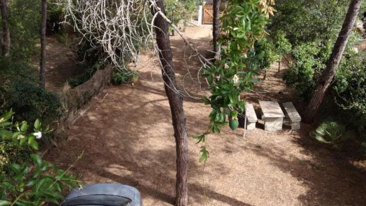 Photo of Outdoor in Cala Liberotto