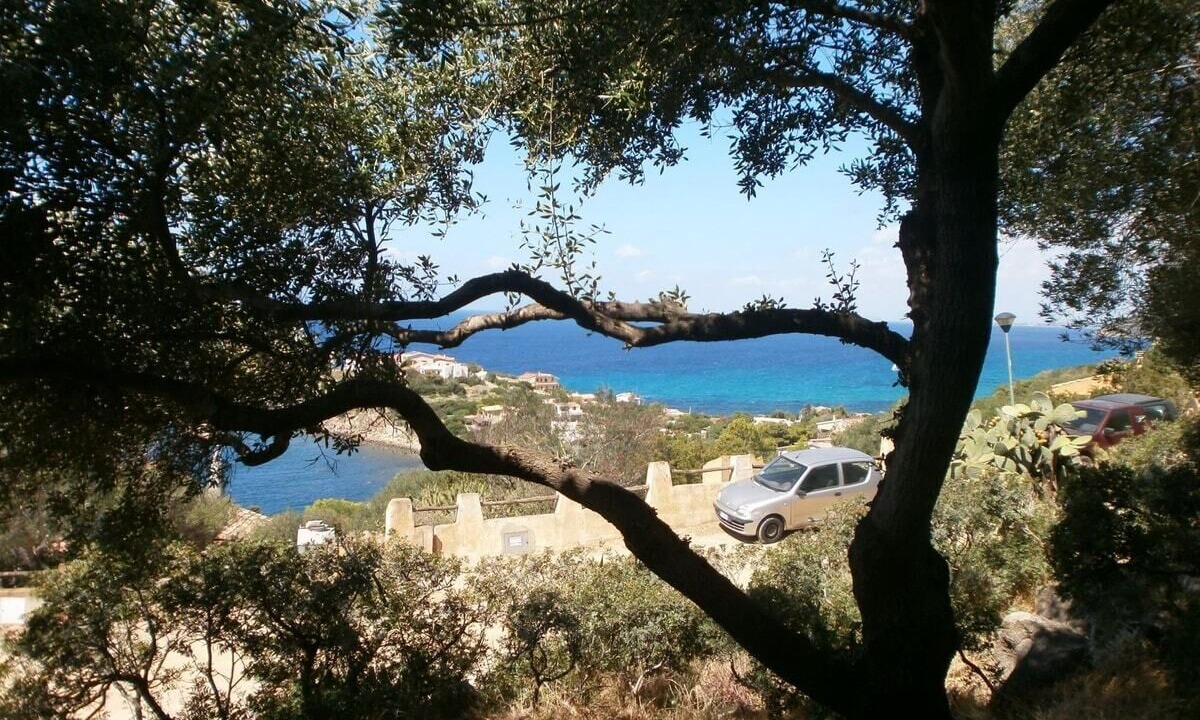 Photo of Outdoor in Torre delle Stelle