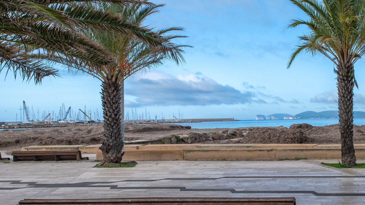 Photo of Outdoor in Lido